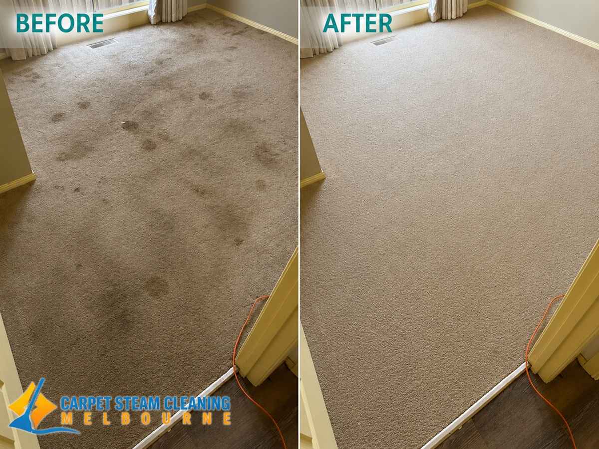 Carpet Steam Cleaning Melbourne