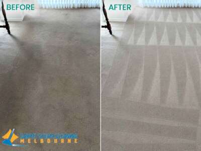 Carpet Steam Cleaning Carpet Steam Cleaning