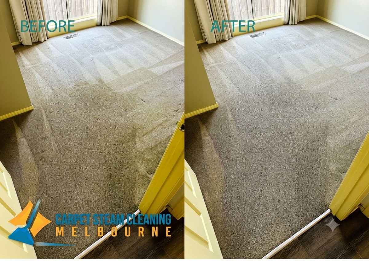 Carpet Steam Cleaning