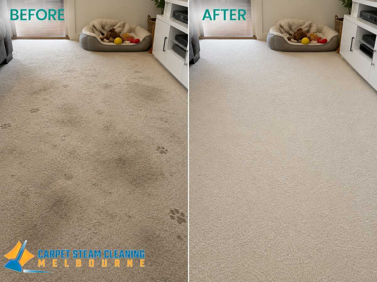 Pet Odour Removal