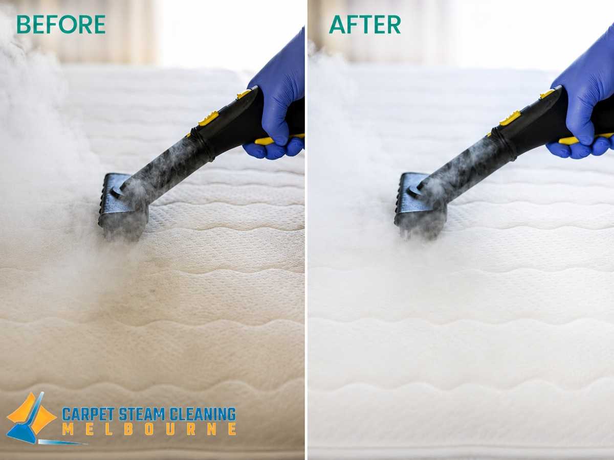 Steam Mattress Cleaning